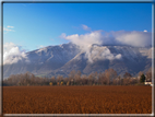 foto Pendici del Monte Grappa in Inverno